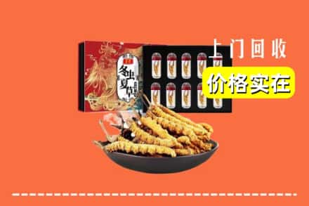 和田地区于田县回收冬虫夏草